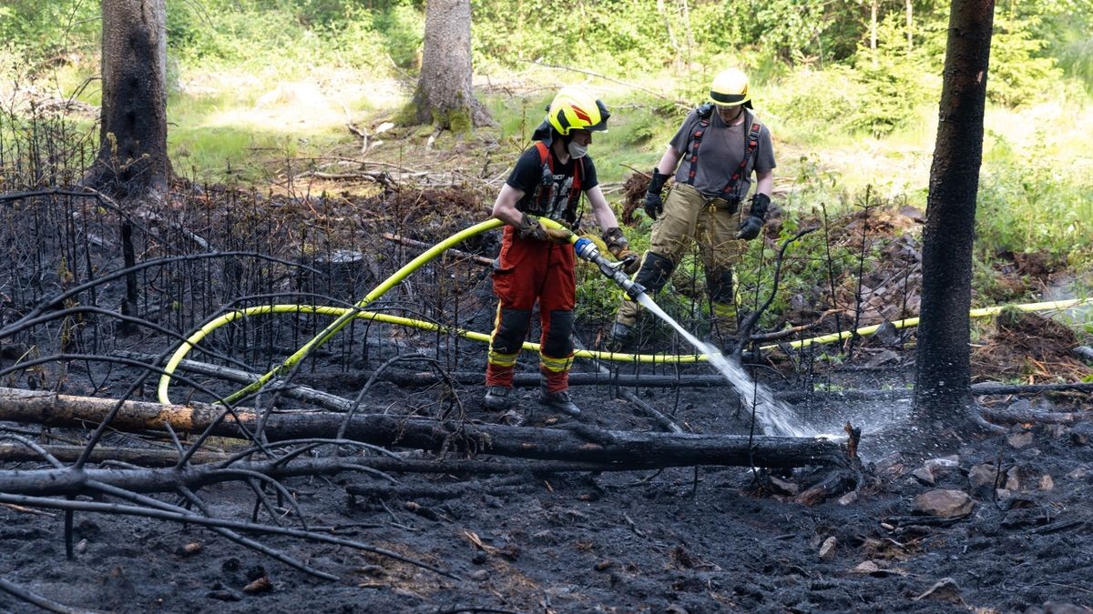 Zu einem Brand in einem Waldstück im Landkreis Ilm-Kreis wurden die Kräfte der Feuerwehr am Montagnachmittag (05.06.23) nach Gehren bei Ilmenau alarmiert. Hier branden im tiefen Inneren des Waldes rund 200 Quadratmeter Waldfläche. Die Einsatzkräfte löschten diese und konnten das Übergreifen auf eine Forstmaschine noch verhindern. Mit Haken musste der Boden umgegraben werden, um weitere Glutnester zu löschen. Wie der Brand entstanden ist, ist derzeit noch unklar.