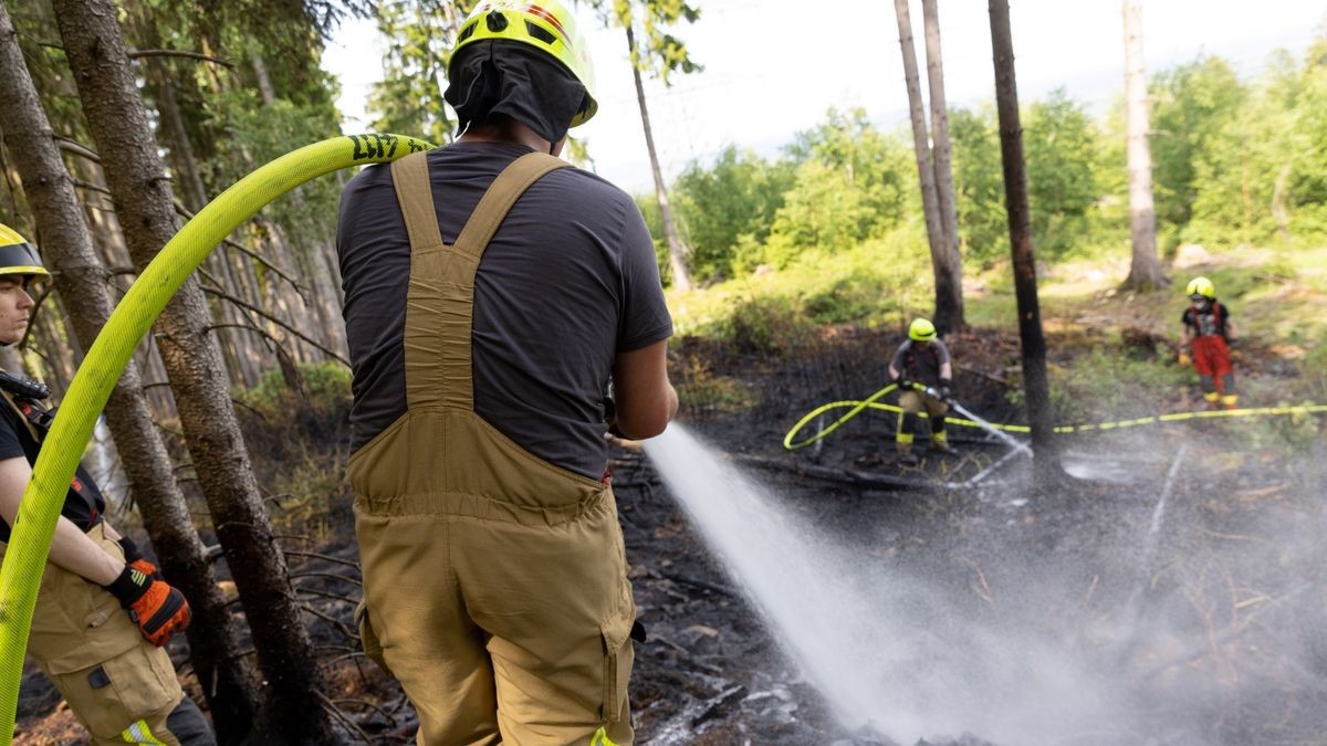 Zu einem Brand in einem Waldstück im Landkreis Ilm-Kreis wurden die Kräfte der Feuerwehr am Montagnachmittag (05.06.23) nach Gehren bei Ilmenau alarmiert. Hier branden im tiefen Inneren des Waldes rund 200 Quadratmeter Waldfläche. Die Einsatzkräfte löschten diese und konnten das Übergreifen auf eine Forstmaschine noch verhindern. Mit Haken musste der Boden umgegraben werden, um weitere Glutnester zu löschen. Wie der Brand entstanden ist, ist derzeit noch unklar.