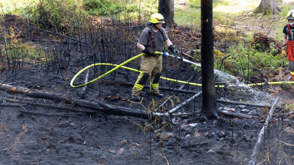 Zu einem Brand in einem Waldstück im Landkreis Ilm-Kreis wurden die Kräfte der Feuerwehr am Montagnachmittag (05.06.23) nach Gehren bei Ilmenau alarmiert. Hier branden im tiefen Inneren des Waldes rund 200 Quadratmeter Waldfläche. Die Einsatzkräfte löschten diese und konnten das Übergreifen auf eine Forstmaschine noch verhindern. Mit Haken musste der Boden umgegraben werden, um weitere Glutnester zu löschen. Wie der Brand entstanden ist, ist derzeit noch unklar.