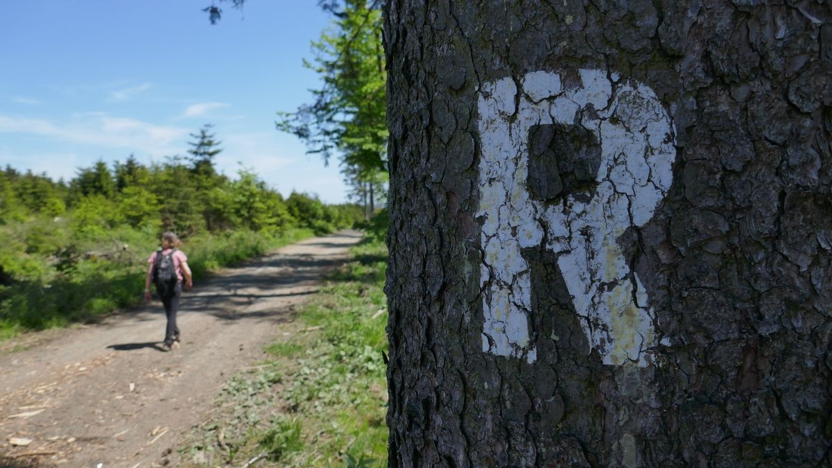 Thüringen profitiert weiterhin vom Tourismus. Jetzt wurde der Tourismuspreis vergeben. (Archivbild)