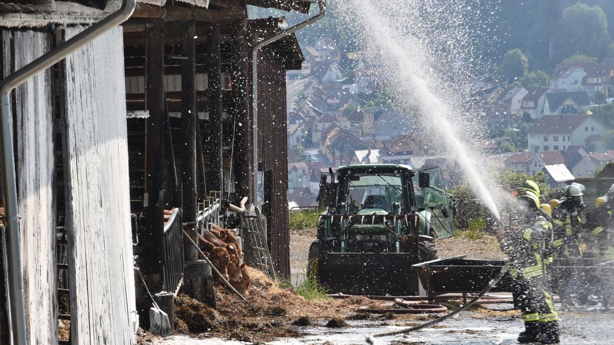 Ein überdachtes Lager mit rund 190 Stroh- und Heuballen eines Landwirtschaftsbetriebes geriet Sonntagmorgen in Heyerode in Brand. 100 Feuerwehrleute waren im Einsatz.