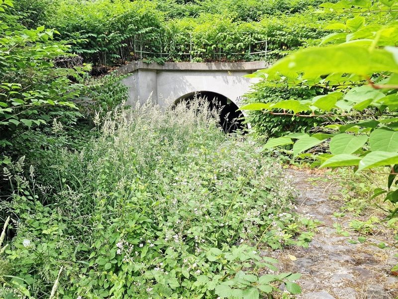 Bochum Warum der Hofsteder Bach ist