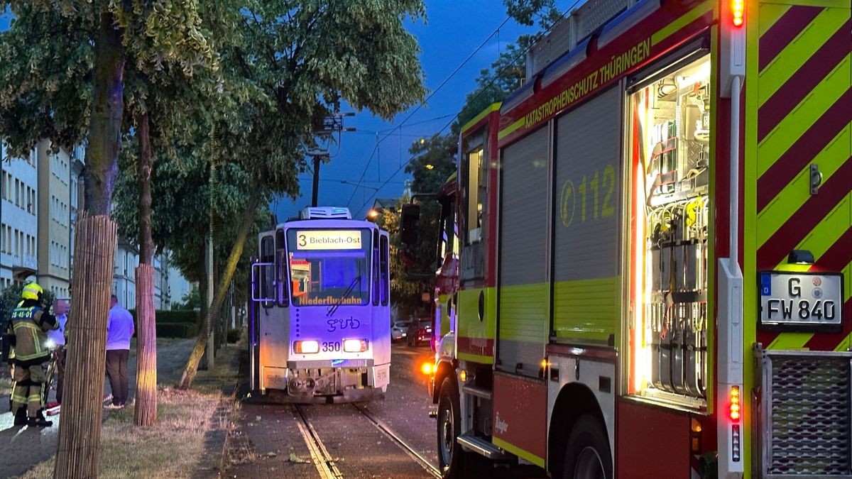 Seit Donnerstagabend 21 Uhr war die Feuerwehr in Gera im Dauereinsatz. Zahlreiche Bäume waren umgestürzt, mehrere davon auf Oberleitungen der Straßenbahn. Der Betrieb der Linie 3 kam zum Erliegen. Es musste Schienersatzverkehr eingerichtet werden. In Untermhaus fiel ein Baum auf geparktes Auto. In der Humboldtstraße wurde ein Dach großflächig abgedeckt, herabstürzende Dachteile beschädigten dabei mehrere geparkte Fahrzeuge. Etliche Straßen wurden überflutet, da Gullys die enormen Regenmengen nicht aufnehmen konnten.