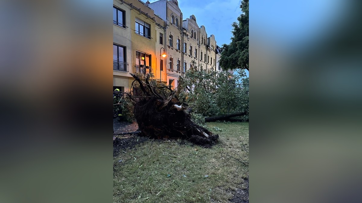 Seit Donnerstagabend 21 Uhr war die Feuerwehr in Gera im Dauereinsatz. Zahlreiche Bäume waren umgestürzt, mehrere davon auf Oberleitungen der Straßenbahn. Der Betrieb der Linie 3 kam zum Erliegen. Es musste Schienersatzverkehr eingerichtet werden. In Untermhaus fiel ein Baum auf geparktes Auto. In der Humboldtstraße wurde ein Dach großflächig abgedeckt, herabstürzende Dachteile beschädigten dabei mehrere geparkte Fahrzeuge. Etliche Straßen wurden überflutet, da Gullys die enormen Regenmengen nicht aufnehmen konnten.