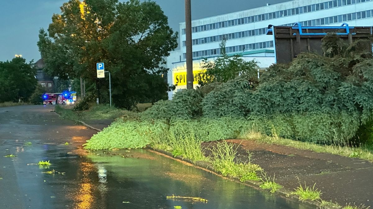 Seit Donnerstagabend 21 Uhr war die Feuerwehr in Gera im Dauereinsatz. Zahlreiche Bäume waren umgestürzt, mehrere davon auf Oberleitungen der Straßenbahn. Der Betrieb der Linie 3 kam zum Erliegen. Es musste Schienersatzverkehr eingerichtet werden. In Untermhaus fiel ein Baum auf geparktes Auto. In der Humboldtstraße wurde ein Dach großflächig abgedeckt, herabstürzende Dachteile beschädigten dabei mehrere geparkte Fahrzeuge. Etliche Straßen wurden überflutet, da Gullys die enormen Regenmengen nicht aufnehmen konnten.