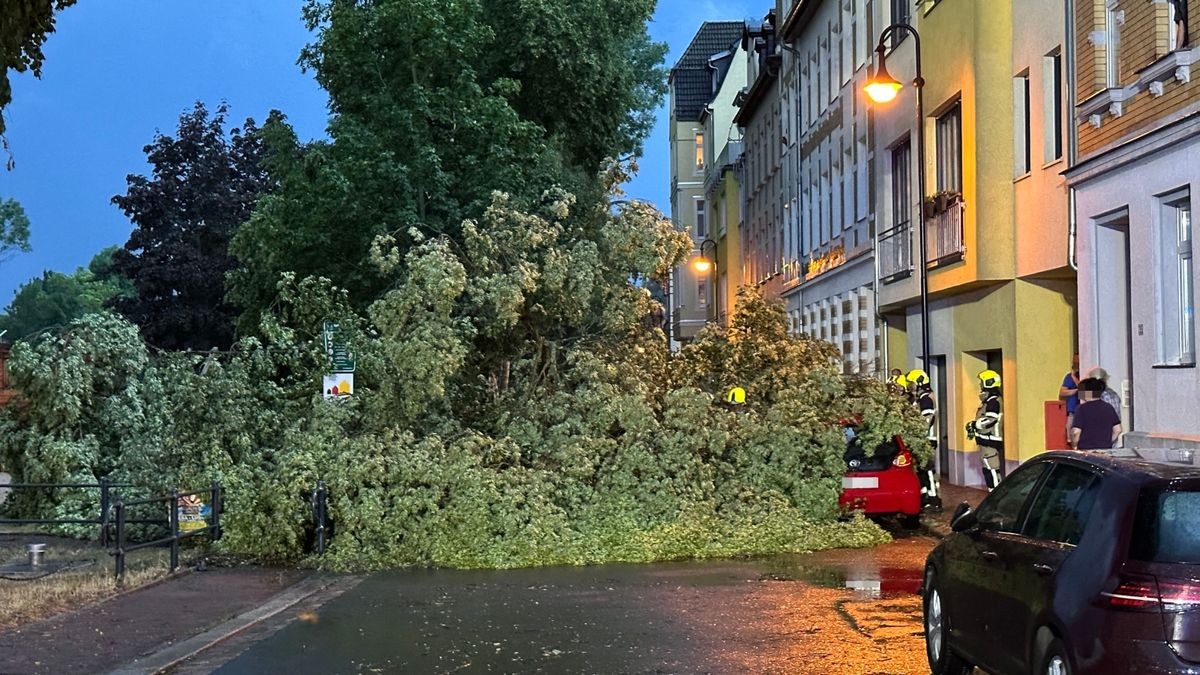 Seit Donnerstagabend 21 Uhr war die Feuerwehr in Gera im Dauereinsatz. Zahlreiche Bäume waren umgestürzt, mehrere davon auf Oberleitungen der Straßenbahn. Der Betrieb der Linie 3 kam zum Erliegen. Es musste Schienersatzverkehr eingerichtet werden. In Untermhaus fiel ein Baum auf geparktes Auto. In der Humboldtstraße wurde ein Dach großflächig abgedeckt, herabstürzende Dachteile beschädigten dabei mehrere geparkte Fahrzeuge. Etliche Straßen wurden überflutet, da Gullys die enormen Regenmengen nicht aufnehmen konnten.