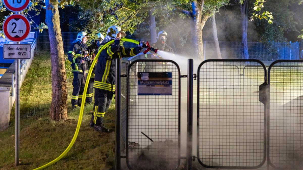 Die Flammen griffen bereits auf angrenzende Bäume über.