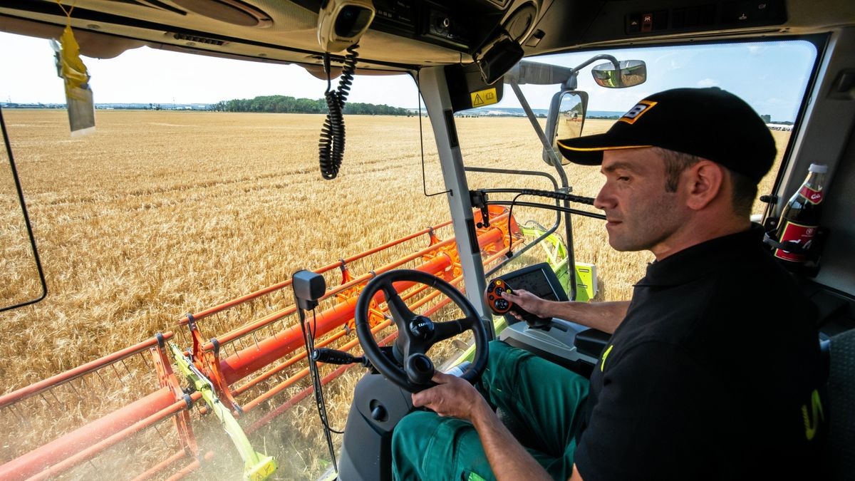 Landwirt Daniel Beier erntet Wintergerste mit einem Mähdrescher auf einem Feld der Universal Agrar eG bei Rietnordhausen