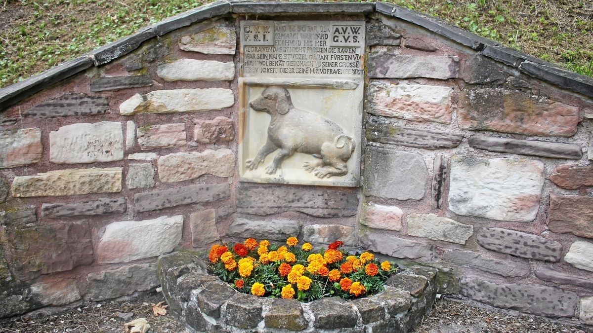 In Winterstein liegt tatsächlich der Hund begraben. Unterhalb der Burgruine erinnert eine Gedenkecke an den legendären Hund Stutzel. Die Wintersteiner halten sie in Ehren