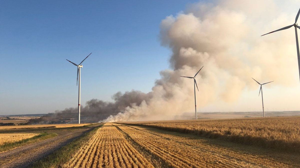 30 Hektar zwischen Olbersleben und Bachra brennen am Freitagabend im Landkreis Sömmerda.