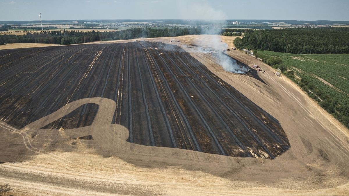 Zunächst drohte das Feuer, auf ein angrenzendes Waldgebiet überzugreifen.