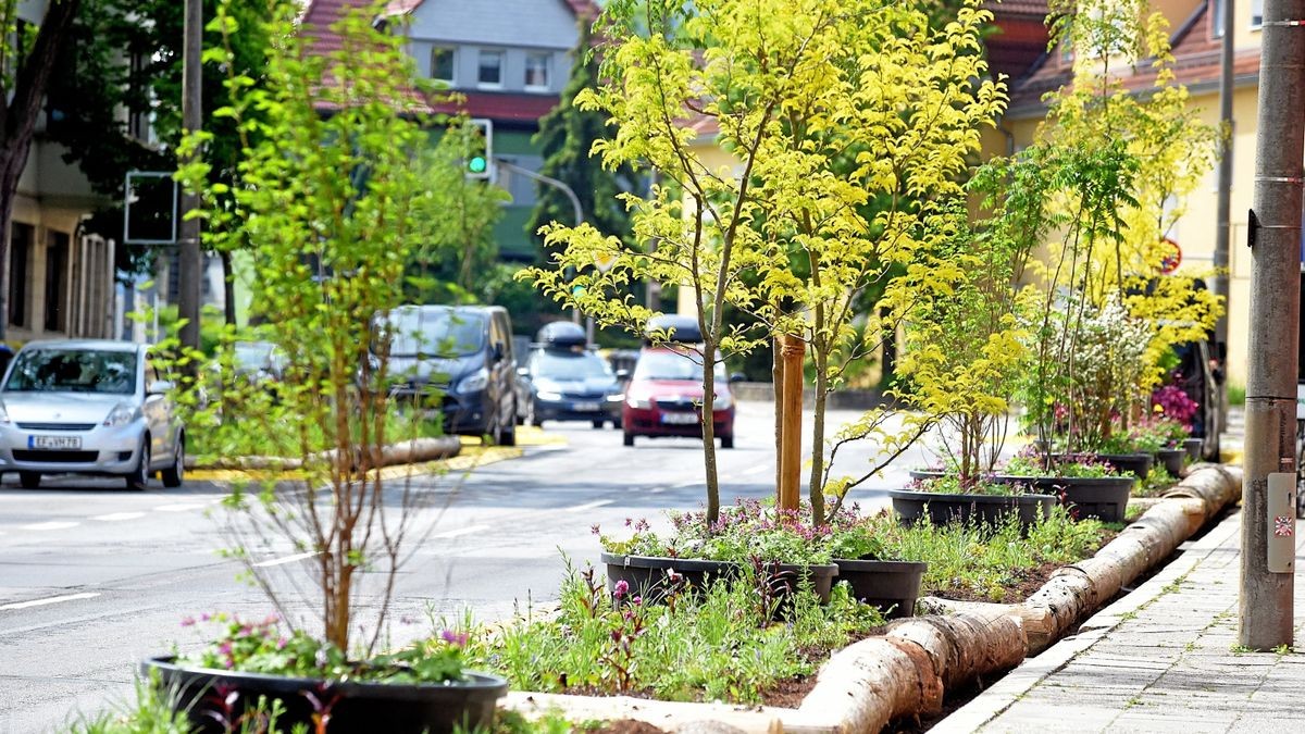 Aktuell ist die Clara-Zetkin_Straße temporär begrünt. Beim Umbau soll sie dauerhaft begrünt werden. 