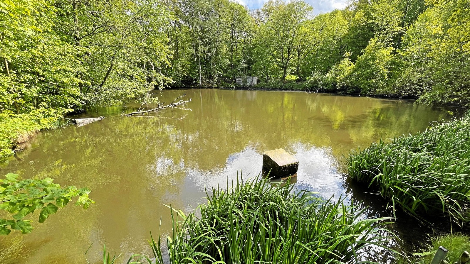 Hochwasserschutz für die Waldteiche in Waltershausen angelegt