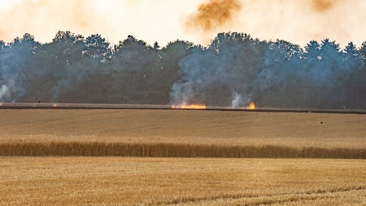 Am Dienstagabend kamen mehrere Feuerwehren im Unstrut-Hainich-Kreis bei einem Brand auf einem Feld zum Einsatz.