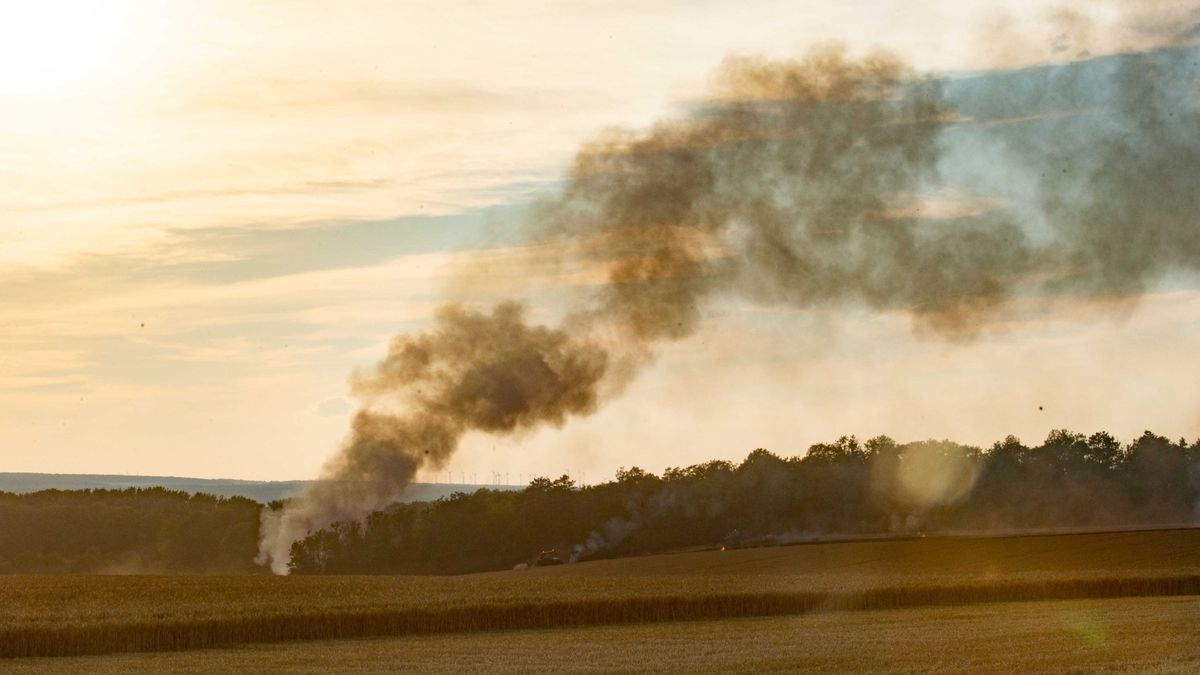 Am Dienstagabend kamen mehrere Feuerwehren im Unstrut-Hainich-Kreis bei einem Brand auf einem Feld zum Einsatz.