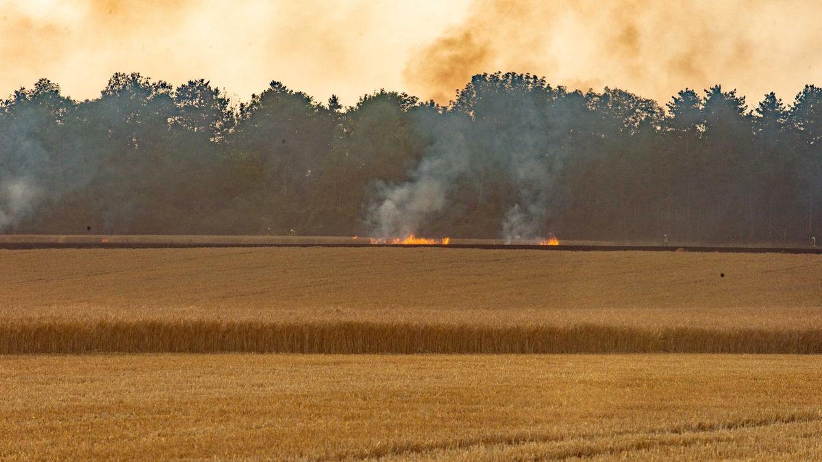 Am Dienstagabend kamen mehrere Feuerwehren im Unstrut-Hainich-Kreis bei einem Brand auf einem Feld zum Einsatz.