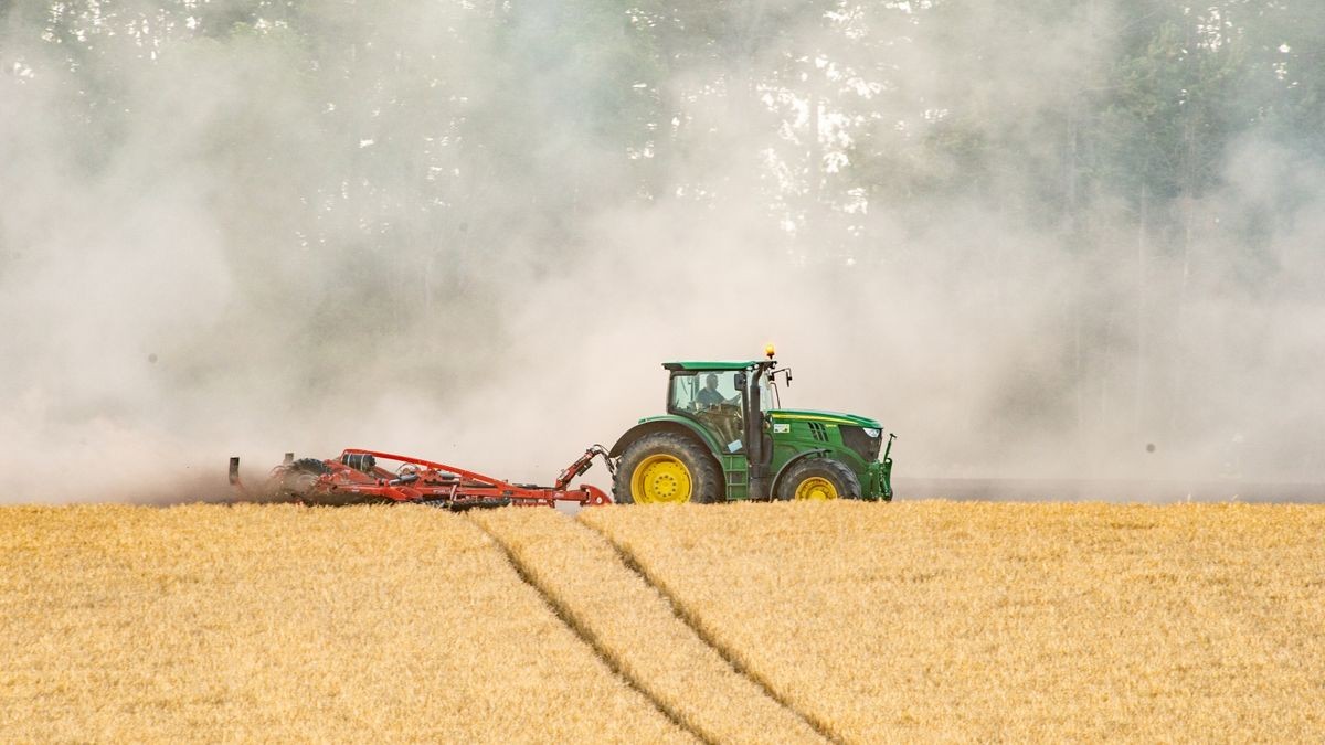 Am Dienstagabend kamen mehrere Feuerwehren im Unstrut-Hainich-Kreis bei einem Brand auf einem Feld zum Einsatz.