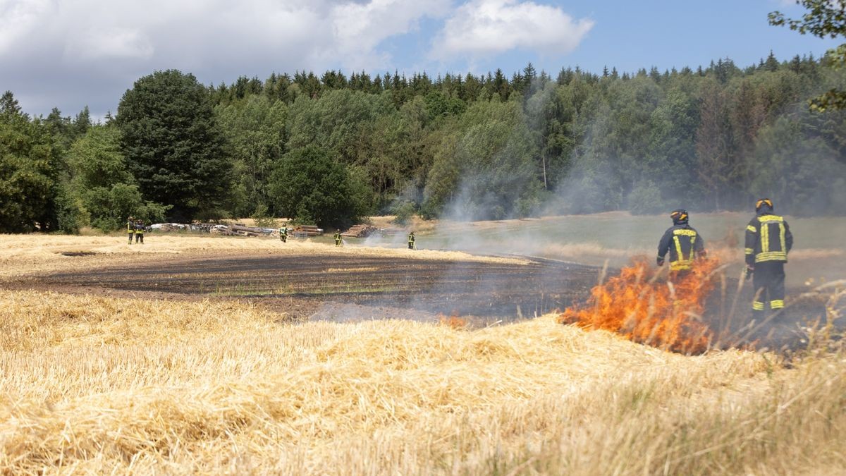 Insgesamt standen rund 5000 Quadratmeter in Flammen. 