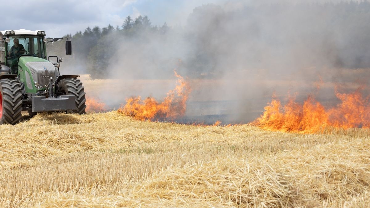 Weitere Bilder des Feuerwehreinsatzes.