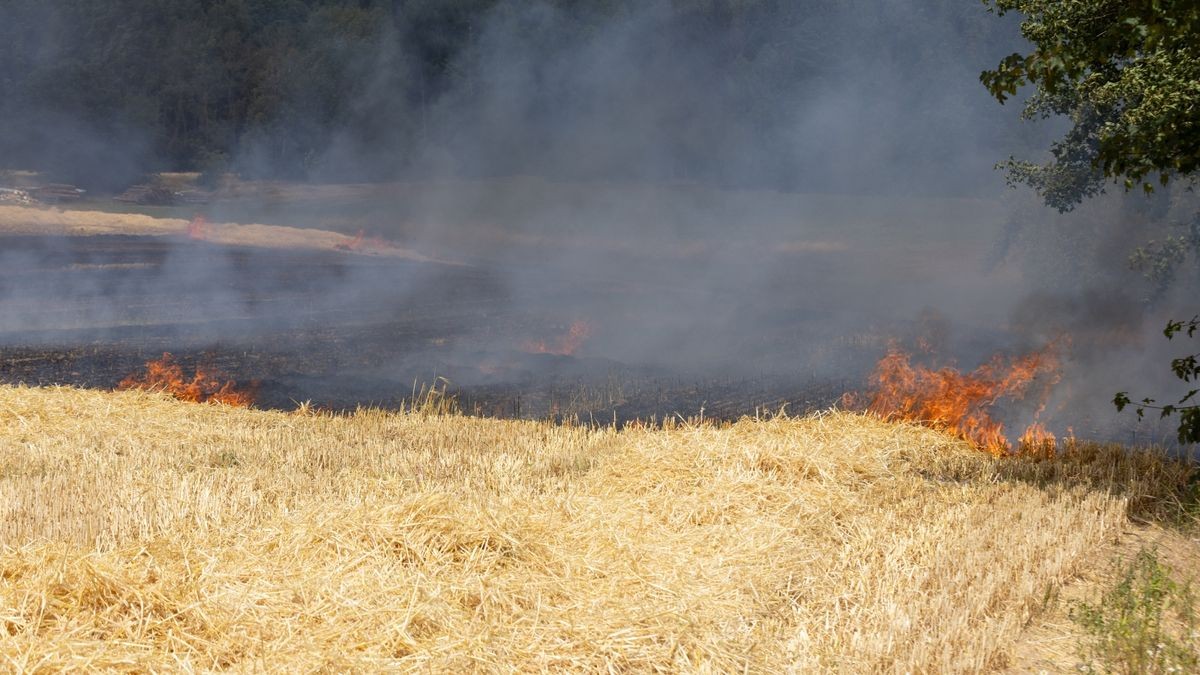 Weitere Bilder des Feuerwehreinsatzes.