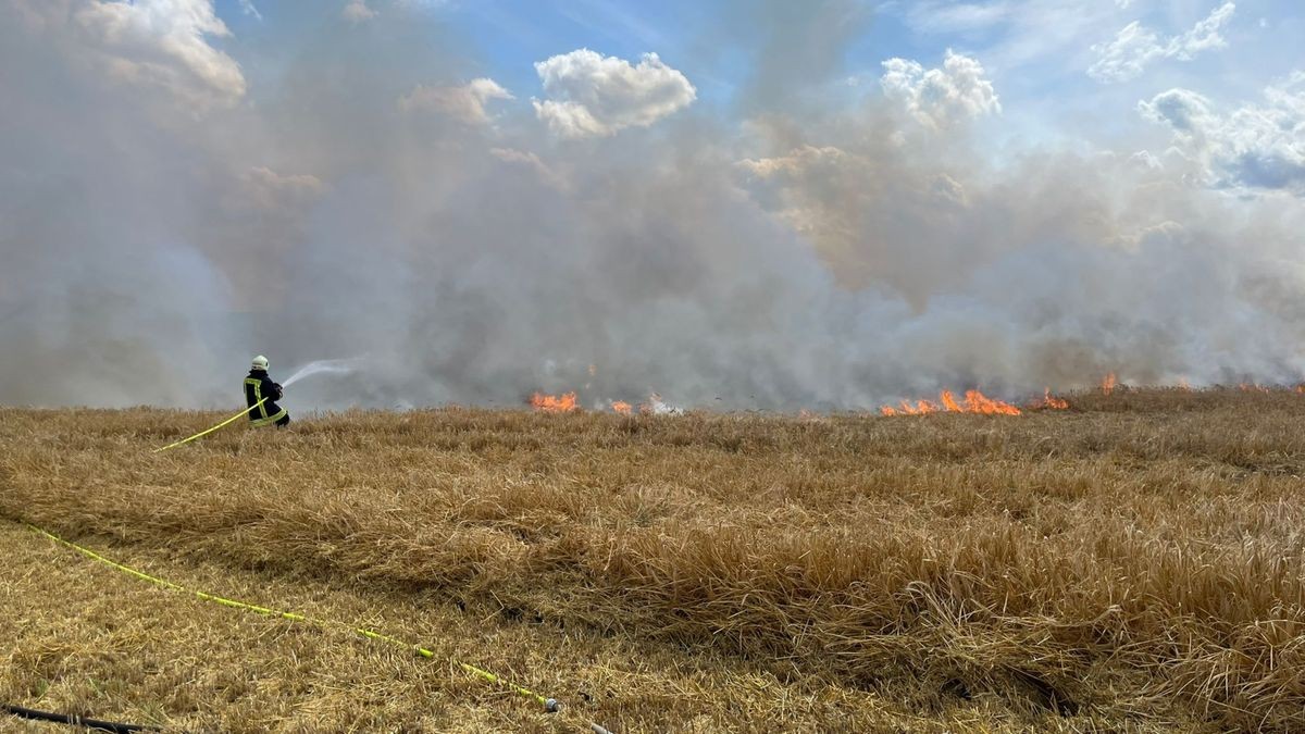 Bei Erntearbeiten auf einem Weizenfeld nahe Auleben brach am Mittwochnachmittag ein Feuer aus.