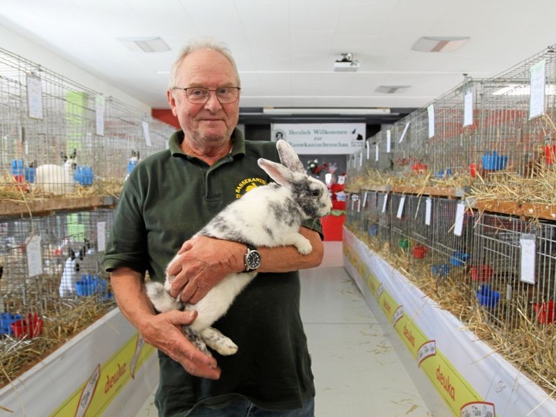 Einige Kaninchenzuchtvereine rund um Jena geben auf