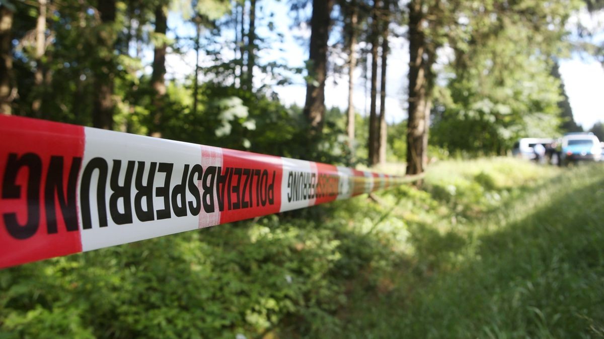 Der Mann floh in ein angrenzendes Waldstück vor den Rettungskräften. (Symbolbild).