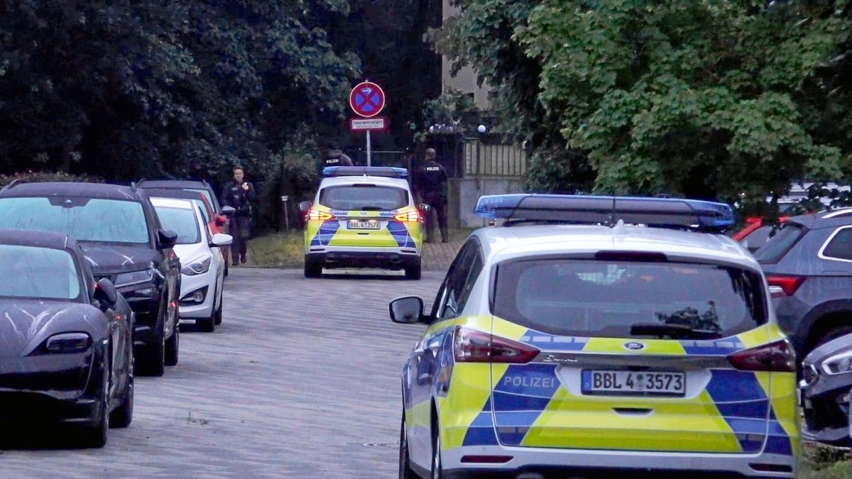 Polizeifahrzeuge fahren bei einer Suchaktion nach einem freilaufenden gefährlichen Wildtier im Bereich der südlichen Landesgrenze von Berlin. Ein gefährliches Wildtier ist in der Nacht zum Donnerstag in Brandenburg entlaufen und hat eine große Suchaktion ausgelöst. Wie die Polizei auf Anfrage der Deutschen Presse-Agentur mitteilte, suchten Einsatzkräfte mit Hubschraubern in Kleinmachnow und angrenzenden Gemeinden nach dem Tier. 