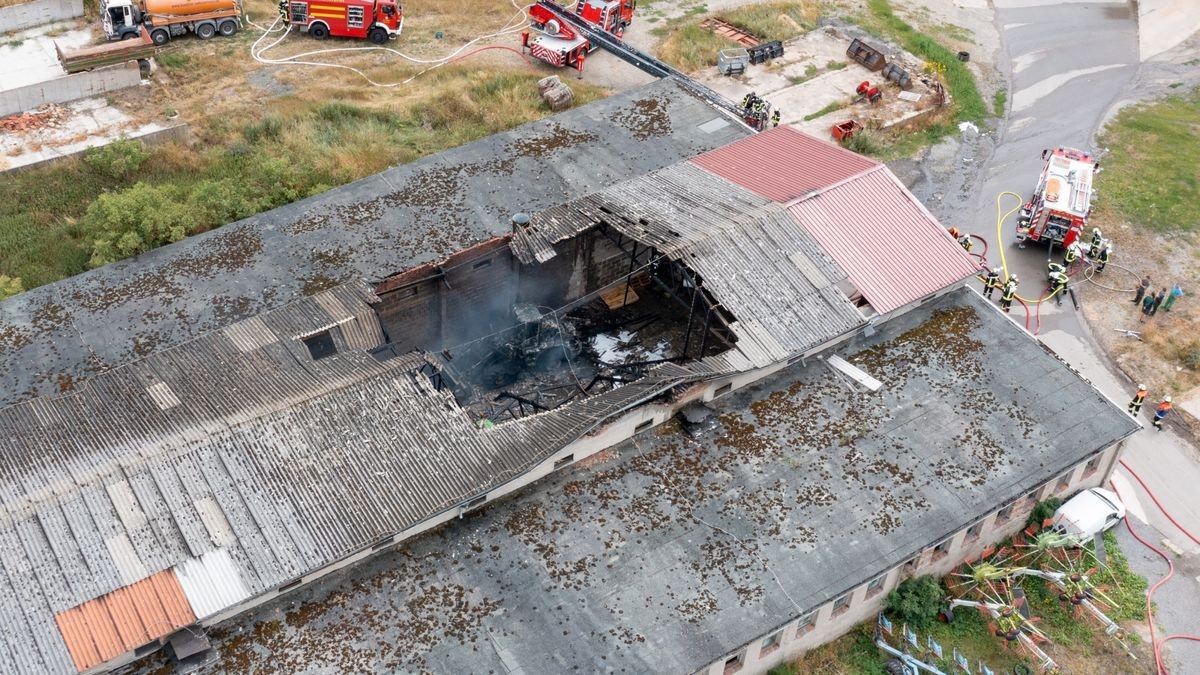 Zu einem Brand in einem Agrarbetrieb ist es am Samstag in Grabfeld im Landkreis Schmalkalden-Meiningen gekommen. Ersten Informationen nach war eine landwirtschaftliche Halle in Brand geraten, in der mehrere Fahrzeuge - darunter ein Radlader - untergestellt waren. Die Halle ist durch das Feuer völlig zerstört worden und brannte komplett aus und ist aktuell einsturzgefährdet. Die Polizei schätzt den Schaden derzeit auf über 200.000 Euro. Verletzt wurde glücklicherweise niemand.