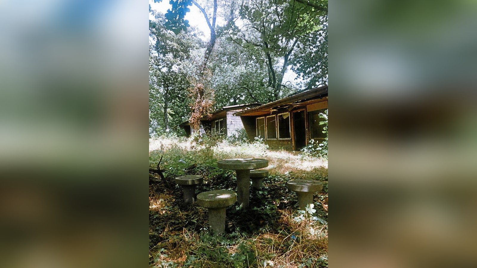 Fund des Tages in Erfurt Geheimer Garten am Ringelberg birgt Relikte