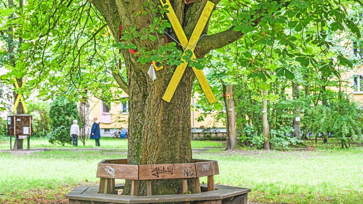 Flüchtlingsheim im Hof Zwei Klagen Berlin baut trotz Eilverfahren