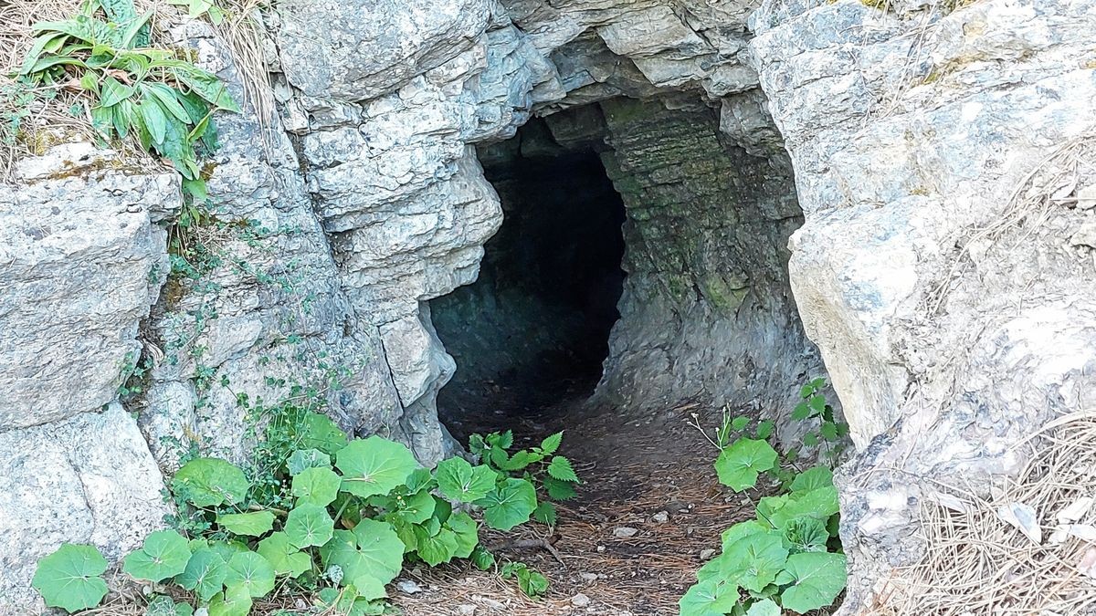 Die Idee, dass die Böhlershöhle im Jonastal bei Arnstadt von Zwergen bewohnt ist, kommt nicht von ungefähr, denn der Höhleneingang ist nur kriechend zu durchqueren.