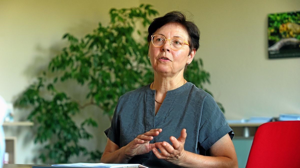 Finanzministerin Heike Taubert (SPD) beim Sommerinterview in ihrem Ministerbüro.