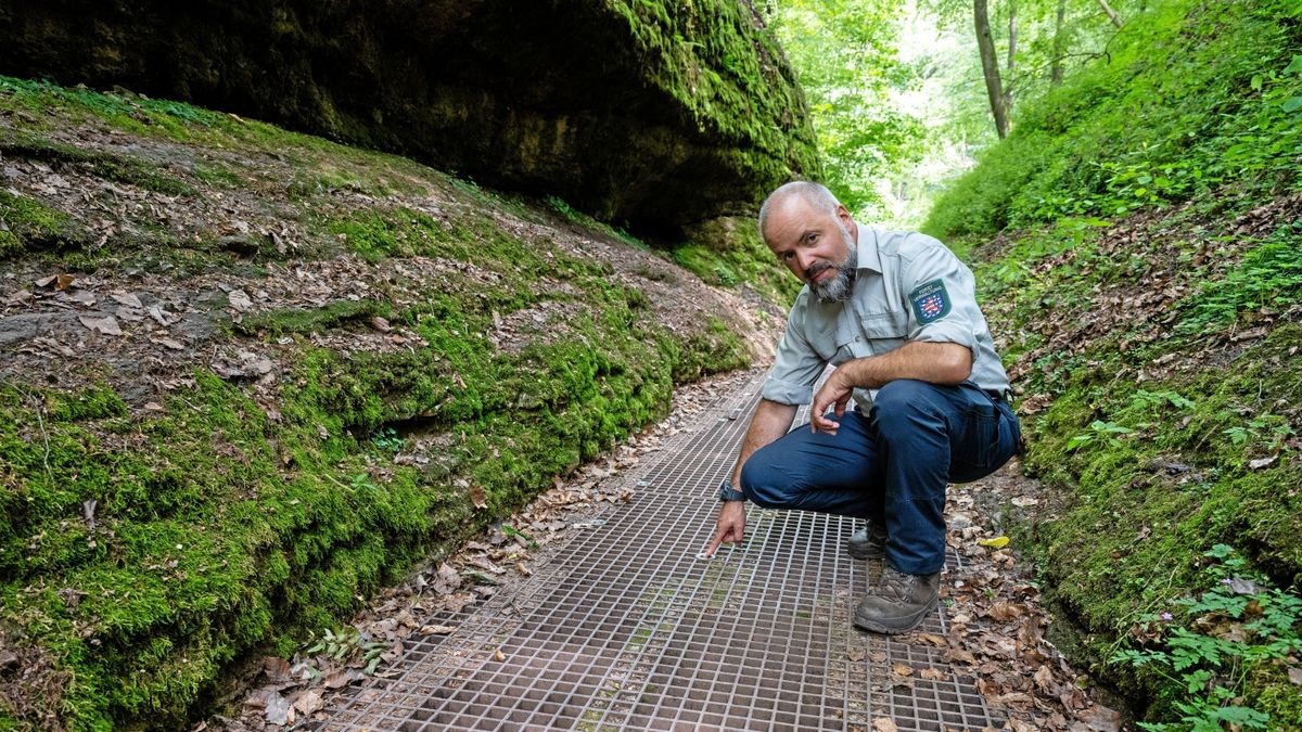 Revierförster Stefan Wichmann auf einem der Stege in der Drachenschlucht..