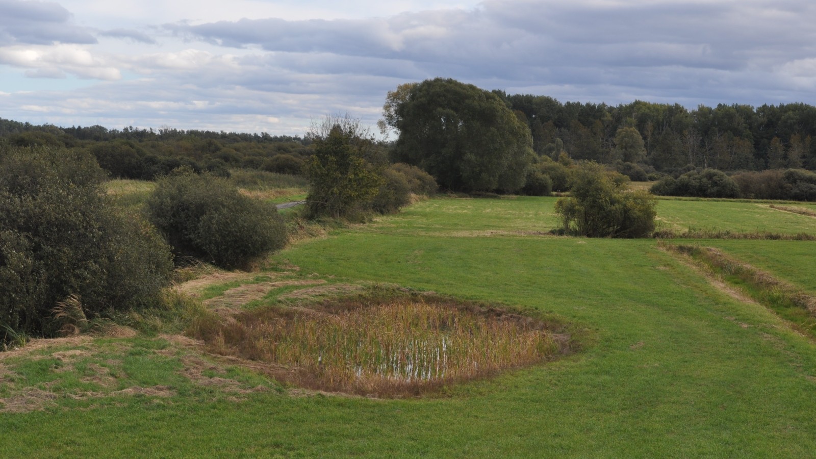 Umweltminister Meyer Der Drömling bekommt ein WeltGütesiegel