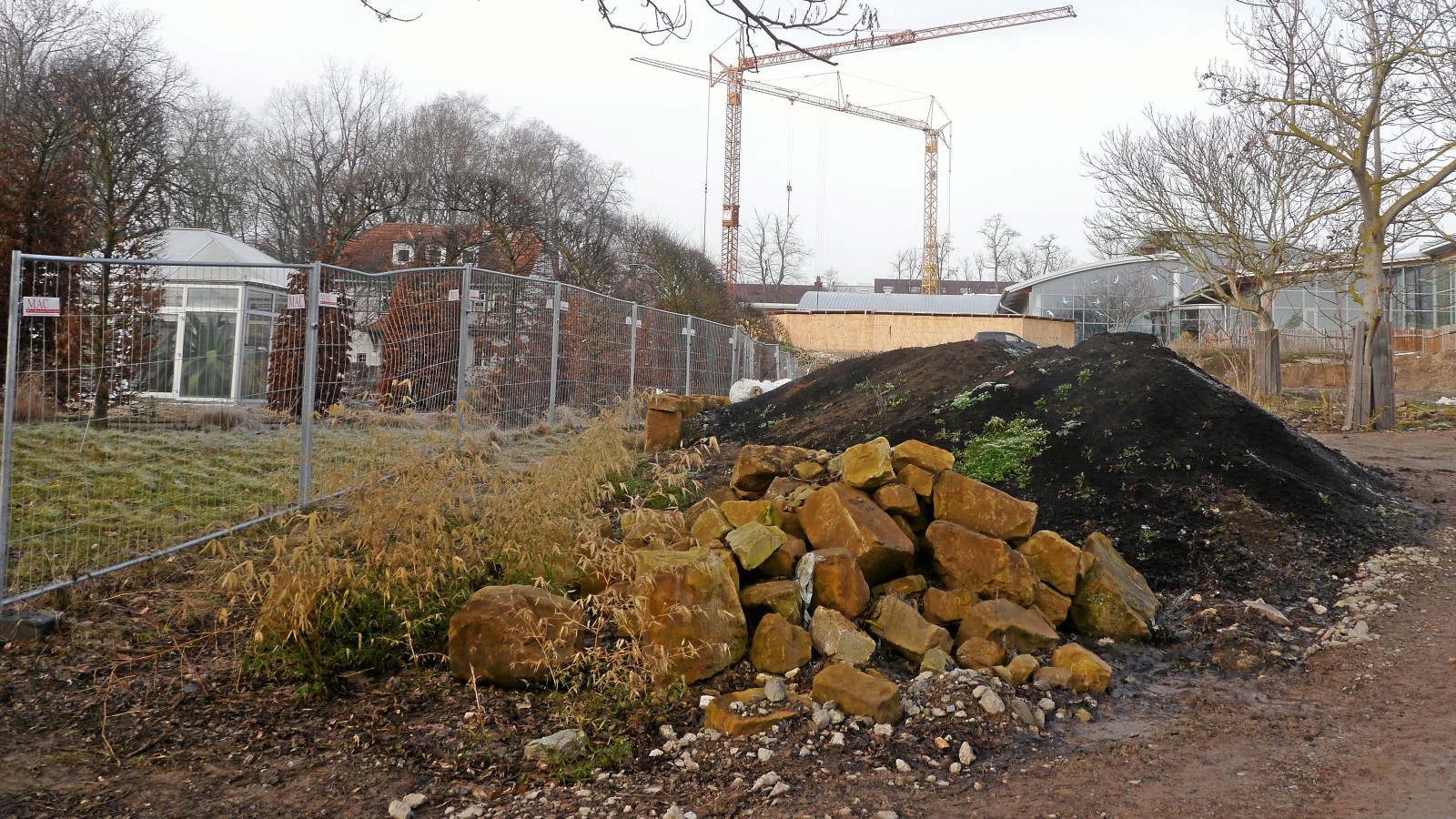 Botanischer Garten in Bad Langensalza wird aufgeräumt