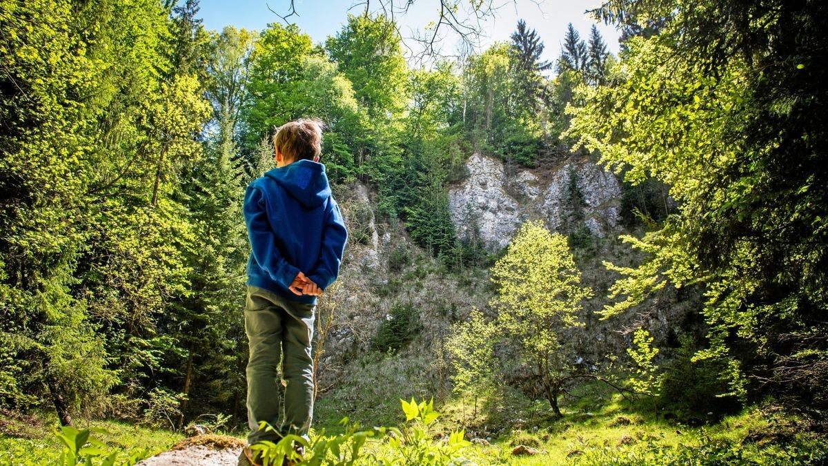 Dem Thüringer Wald geht es nicht gut.