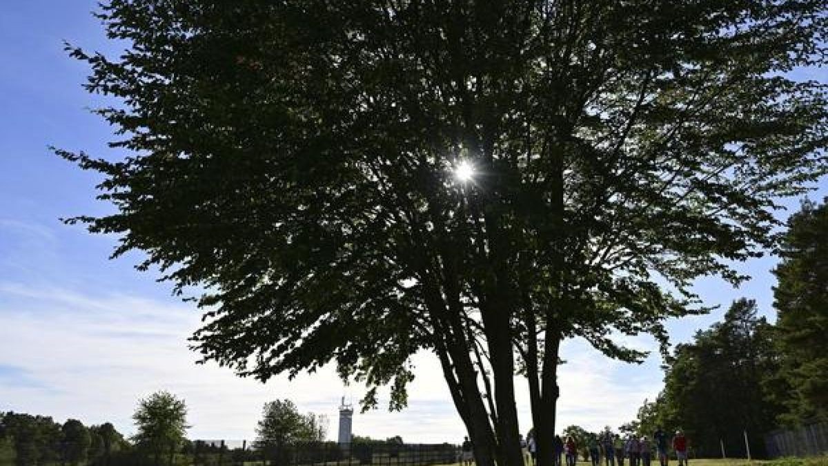 Am Denkmal der deutschen Teilung und Wiedervereinigung fand in der Mahn- und Gedenkstätte zur Deutschen Einheit 