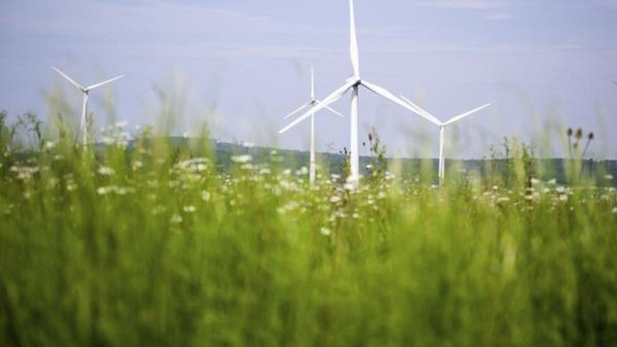 Windräder drehen sich auf einem Feld. (Archivbild)