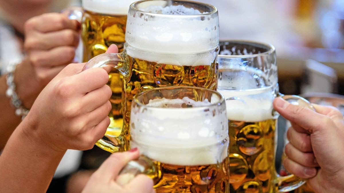 Auf den Oktoberfesten, die in diesen Tagen in Orten des Saale-Orla-Kreises gefeiert werden, dürfte das Bier in Strömen fließen.