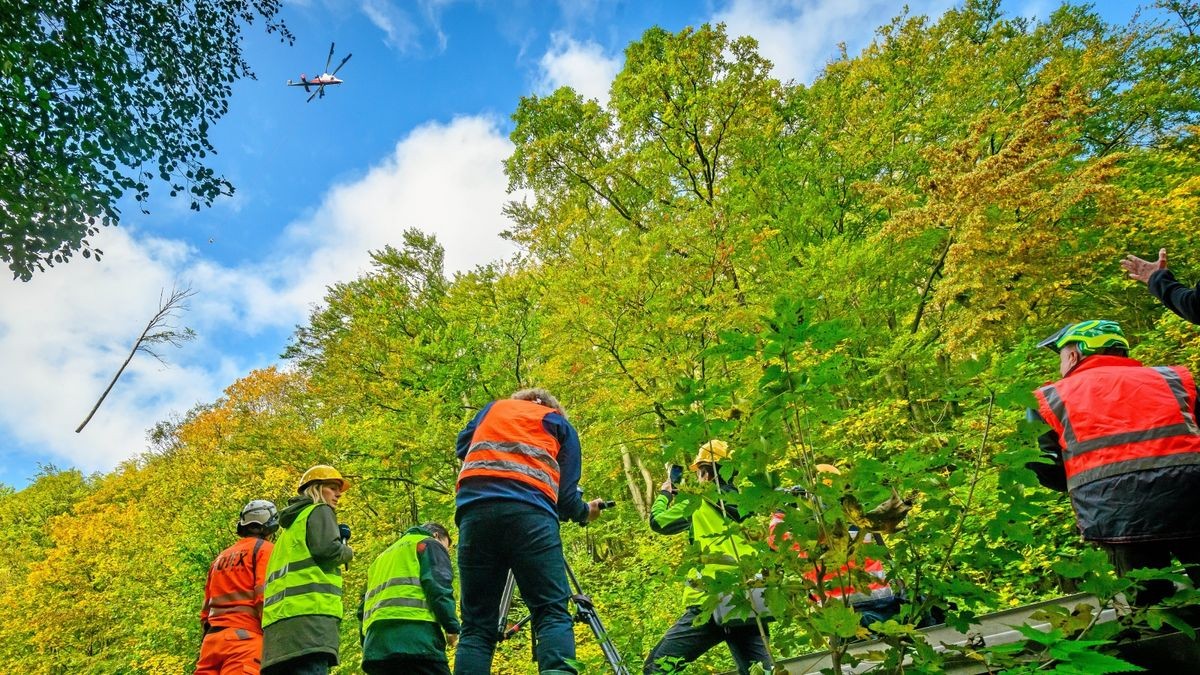 Die spektakuläre Holzerntemaßnahme zog das Interesse vieler Medienvertreter auf sich. Auf unwegsamen Gelände werden 135 ausgewählte Laub- und Nadelbäume per Hubschrauber aus der Fläche entfernt.