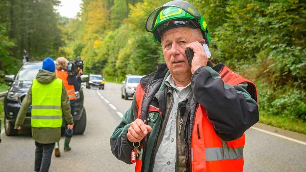 Im Rahmen der Verkehrssicherungspflicht entlang der Bundesstraße 81 werden auf unwegsamen Gelände 135 Laub- und Nadelbäume entfernt. 