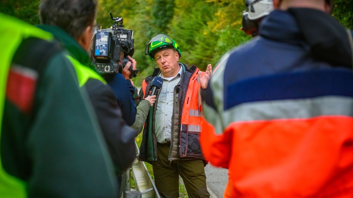 Im Rahmen der Verkehrssicherungspflicht entlang der Bundesstraße 81 werden auf unwegsamen Gelände 135 Laub- und Nadelbäume entfernt. 