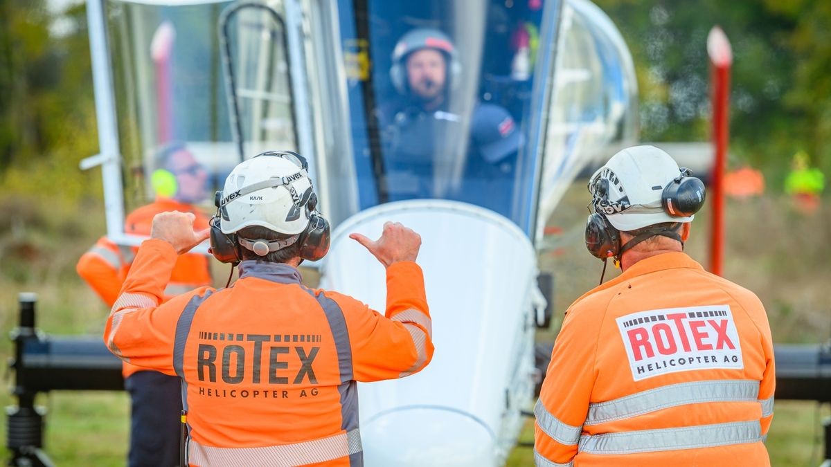 Im Rahmen der Verkehrssicherungspflicht entlang der Bundesstraße 81 werden auf unwegsamen Gelände 135 Laub- und Nadelbäume entfernt. 