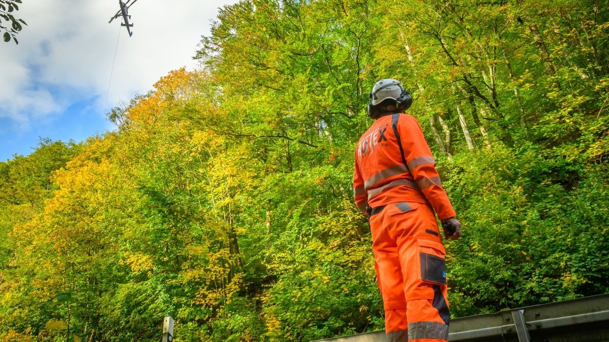 Im Rahmen der Verkehrssicherungspflicht entlang der Bundesstraße 81 werden auf unwegsamen Gelände 135 Laub- und Nadelbäume entfernt. 