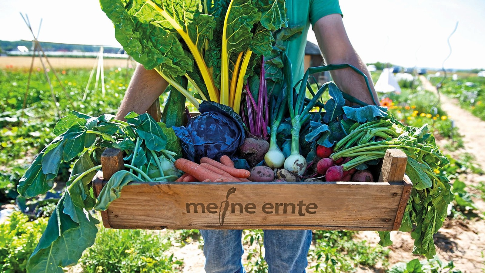 „Meine Ernte“ Herner können eigenen Gemüsegarten mieten