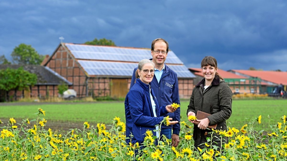 Wassermelonen, Süßkartoffeln, Hanf: Was NRW künftig anbaut Wassermelonen, Süßkartoffeln, Hanf: Was NRW künftig anbaut