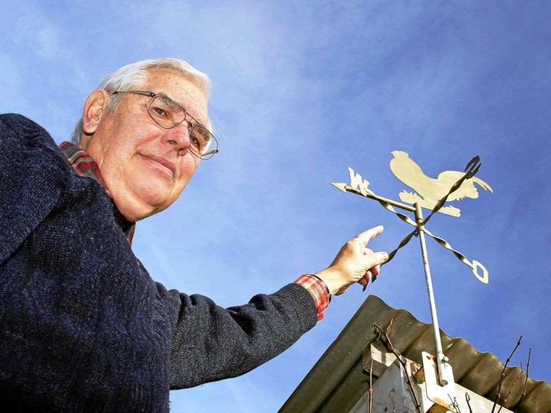 Eisenacher Wetterfrosch: Der Oktober in Eisenach war zu mild und zu nass