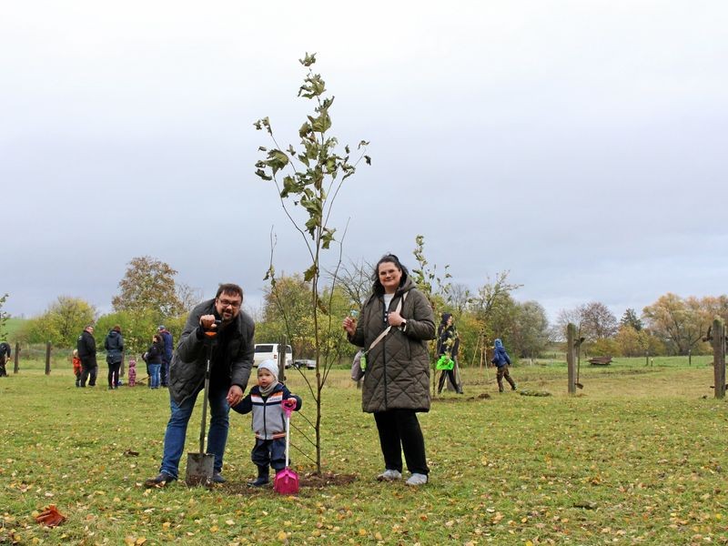 In diesem Dorf im Unstrut-Hainich-Kreis werden Bäume für Neugeborene ...
