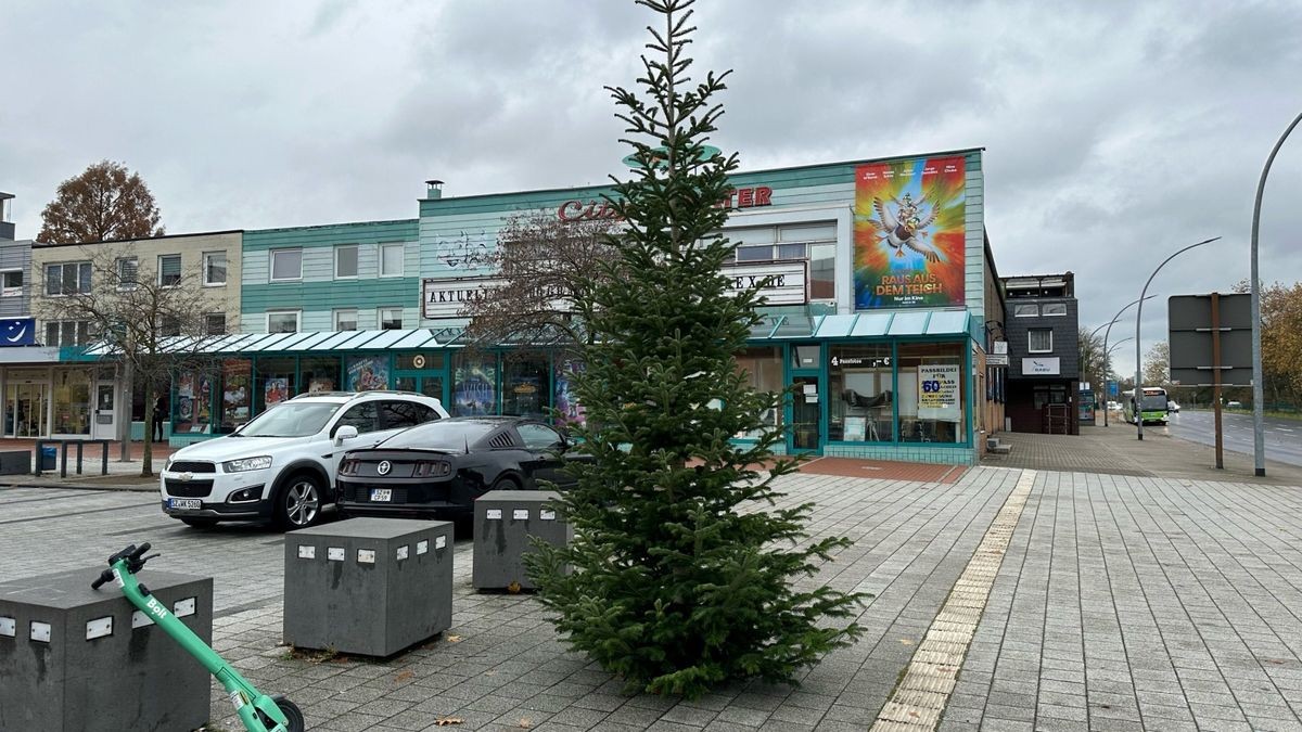 Geht doch Weihnachtsbaum in Lebenstedt ausgetauscht